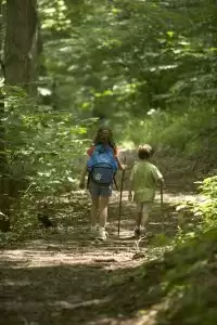 forest, nature, hiking, kids, children, people
