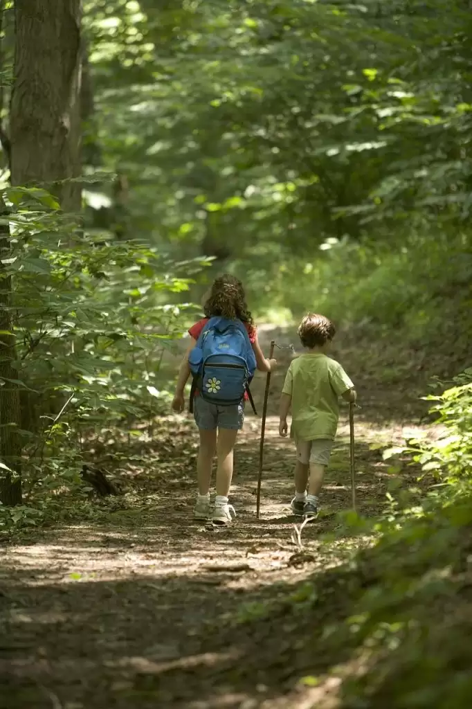 forest, nature, hiking, kids, children, people