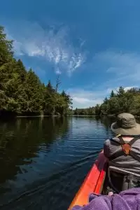 kayak, river, nature, kayak, kayak, kayak, kayak, kayak