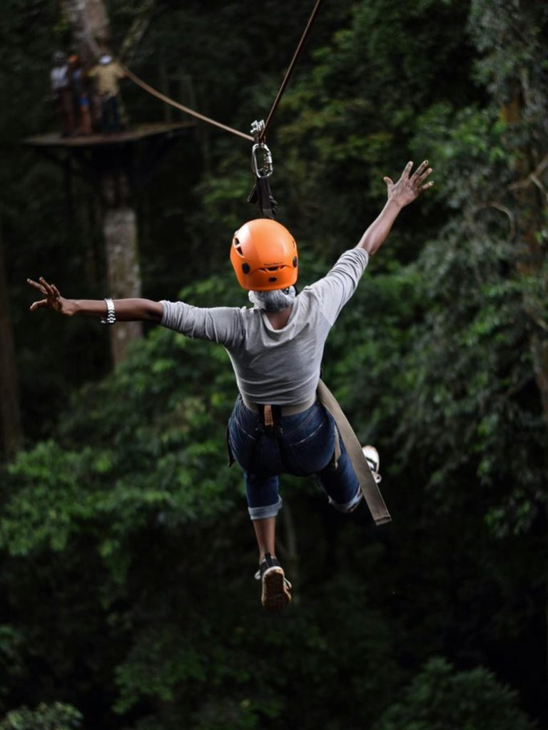 Experience the thrill of ziplining through Tanzania's lush forests with this adventurous capture.